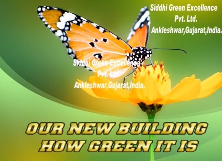 Green Building Video